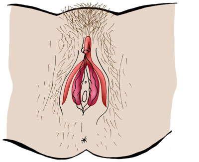 For mange piger og kvinder er klitorisorgasmen den mest almindelige.